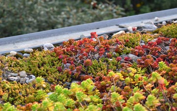 the cost of Bilsthorpe green roof installation