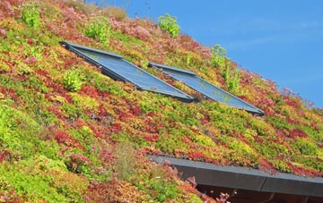 Bilsthorpe living roof systems